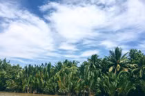 Cô dâu Cần Thơ bị mẹ chồng kiện đòi 20 triệu tiền chụp ảnh cưới