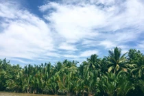 Cô dâu Cần Thơ bị mẹ chồng kiện đòi 20 triệu tiền chụp ảnh cưới