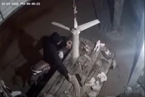 Video: Trộm thịt heo "nhanh như chớp" rồi phóng xe tẩu thoát