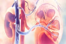 Những loại thực chăm sóc thận khỏe mạnh mỗi ngày