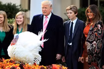 Lễ Tạ ơn triệu USD tại “Nhà Trắng mùa đông” của Tổng thống Trump