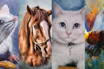 6 cặp con giáp xung khắc, lấy nhau vất vả, hạnh phúc khó bền lâu