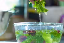 Mẹo rửa rau, củ, qủa loại bỏ hết hóa chất, thuốc trừ sâu