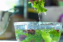 Mẹo rửa rau, củ, qủa loại bỏ hết hóa chất, thuốc trừ sâu