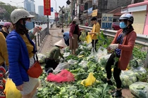 Dân Hà Nội chung tay giải cứu rau xanh cho nông dân Hải Dương
