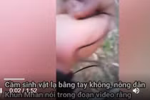 Video: Cận cảnh sinh vật kỳ lạ tại Thái Lan