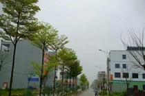 Vỡ nợ, cắt lỗ, cần bán gấp nhà vì COVID-19: Cảnh báo chiêu trò mới!