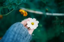 4 thứ "độc hại" nhất phải vứt bỏ ngay trong đời kẻo gặp họa