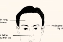 Tướng người trung thực đáng tin cậy để hợp tác làm ăn lâu dài