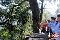 Người cha nhẫn tâm ném con gái mới sinh 6 tiếng xuống vách núi