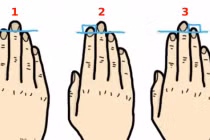 Nhìn độ dài của ngón trỏ, đoán biết vận mệnh sướng khổ ra sao