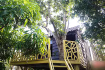 Độc đáo cà phê... trên cây ở nông thôn Hà Tĩnh