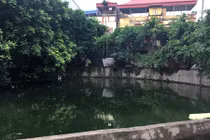 Cơn ác mộng ở làng sốt xuất huyết