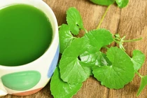 Loạt tác dụng thần kỳ của rau má đối với sức khỏe