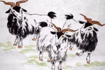 Từ ngày 5/1 đến ngày 15/1, 3 con giáp tài lộc ổn định, tiền bạc rủng rỉnh