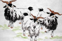 Từ ngày 5/1 đến ngày 15/1, 3 con giáp tài lộc ổn định, tiền bạc rủng rỉnh