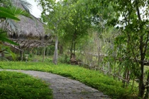 Đi công tác, nam bác sĩ quay cuồng trong mối tình với sếp nữ