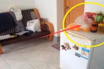 Đặt 4 thứ này trên nóc tủ lạnh sẽ cản tài lộc, gia đình nghèo khó 