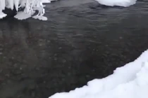 Video: Người đàn ông và 2 phụ nữ ra suối tắm ở nơi âm 65 độ C