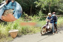 7 năm chồng đèo vợ đi săn trứng kiến, kiếm vài trăm ngàn/ngày