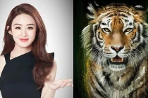 3 con giáp gặp vận hạn, tai ương trong 45 ngày tới