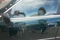 Đang chờ đèn đỏ thì phân từ trên trời trút xuống như mưa