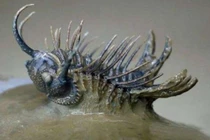 Người đàn ông nhặt được viên đá kỳ lạ, hôm sau chuyên gia kéo đến tận nhà!