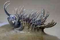 Người đàn ông nhặt được viên đá kỳ lạ, hôm sau chuyên gia kéo đến tận nhà!