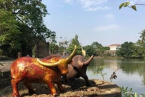 Độc đáo 1010 con trâu cực chất của 8x Hà Nội