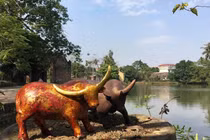 Độc đáo 1010 con trâu cực chất của 8x Hà Nội