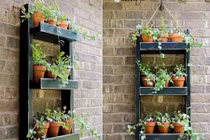 Loạt thiết kế vườn đứng xanh tươi, hút mắt từ đồ cũ