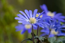 Sinh vào ngày Âm lịch này, dù khó khăn đến đâu cũng nên kiên trì