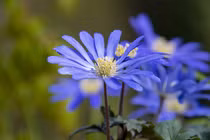 Sinh vào ngày Âm lịch này, dù khó khăn đến đâu cũng nên kiên trì