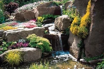 Trang trí nhà "rẻ bèo" mà ấn tượng chỉ bằng... sỏi trắng