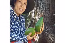 Kiếm tiền tỉ từ “cây bơ vàng độc nhất vô nhị“