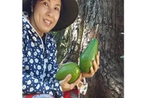 Kiếm tiền tỉ từ “cây bơ vàng độc nhất vô nhị“