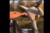 Video: Đắng lòng khi troll nhầm thanh niên đang "thất tình" trên cầu