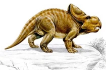 Công cụ đặc biệt mà loài khủng long dùng để tán tỉnh bạn tình