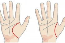 5 dấu hiệu "tướng học" chỉ xuất hiện ở bàn tay của phụ nữ giàu sang