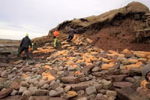 Bãi biển bỗng chốc la liệt hài cốt khiến người ta rùng mình