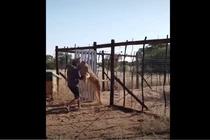 Video: Người đàn ông bị sư tử vồ ngã và diễn biến cảm động phía sau