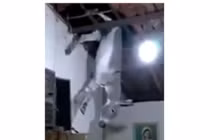 Video: Đang ăn cơm, thấy một con lừa từ trên trời rơi xuyên mái nhà xuống đất