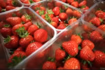 Cảnh báo dâu tây có... kim khâu bên trong