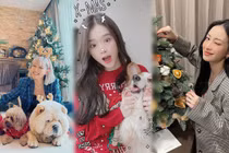 Hot girl Việt xinh tươi rạng ngời đón Giáng sinh