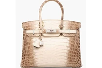 Cận cảnh túi xách đắt giá xô đổ mọi kỷ lục