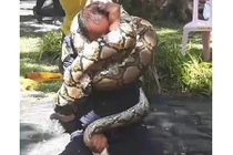 Video: Lính cứu hỏa khổ sở bị trăn dài 5 mét khóa cứng