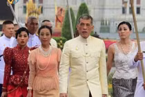 Video: Voi trắng đầu tiên gia nhập vương triều mới của hoàng gia Thái