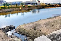 Ông chủ nhốt người tình vào tủ lạnh từng phi tang xác