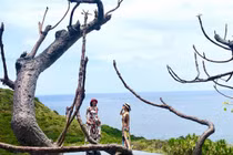 Bất ngờ với cuộc sống hiện tại của “cô Bống” Hồng Nhung