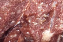 Cách phân biệt thịt lợn sạch và thịt lợn bệnh, ngâm hóa chất